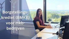 borgstellingskrediet bmkb