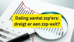 daling zzp'ers in 2025