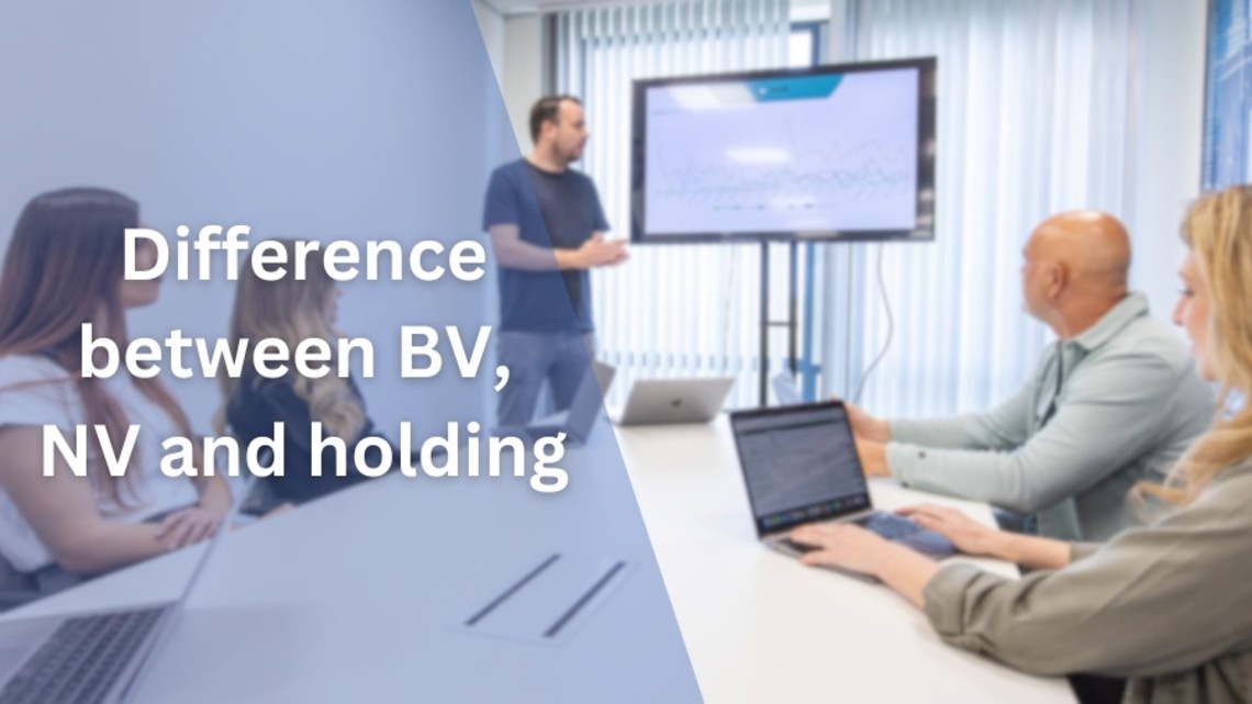 what is a bv