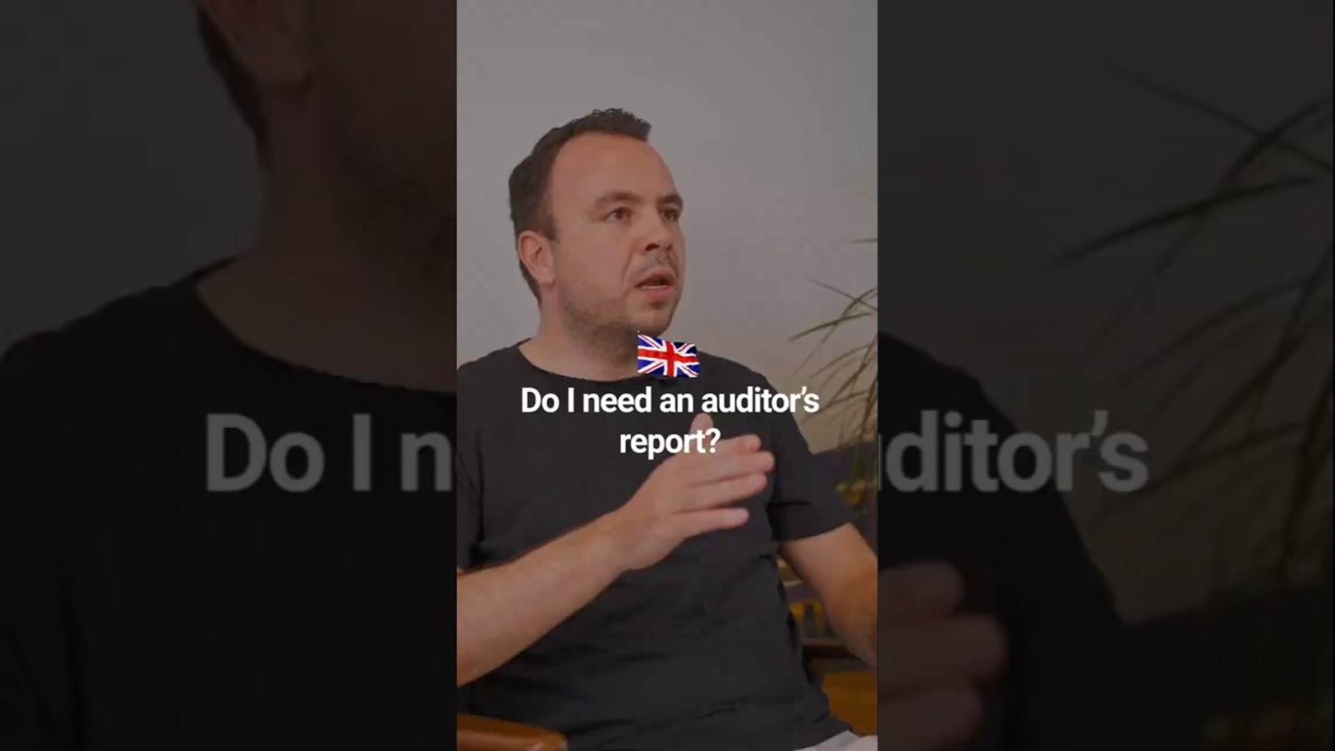 auditors report