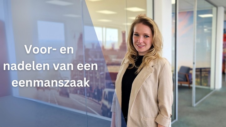 voor en nadelen eenmanszaak